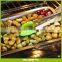 9" Salad Tongs / 12" Barbecue Tongs Stainless Steel Food Tongs with Silicone Tips for Extra Grip