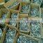 Top Quality wide size nails/Factory Supply common nails