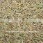 Cumin Seed