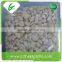Wholesale fresh peeled garlic price