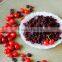 HACCP Certified snack fruits freeze dried red sour cherry dried cherries