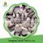 New High Quality Frozen Cutted Oyster Mushrooms