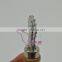 whole sale Wheel Type Wire Embedder/ Spur Embedder /beekeeing tools