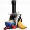 Home Use Multiple Taste Soft Ice Cream Machine
