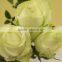 Hot selling beautiful rose flowers fresh cut rose flowers