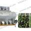 Hot sale factory offering new Mung bean slices color sorter