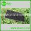 High Quality 200 cells seed tray, Seedling Trays, Planting Tray, Nursery Tray