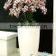 new products self watering flower pot