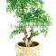SJ2001022 Small potted foliage banyan tree landscaping decoraative garden tree