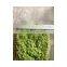 20cm*25cm decorative home decor artificial moss landscaping factory vertical green concrete steel wire mat wall pieces ZM09 2304