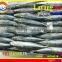 FROZEN LAYANG SCAD (MUROAJI) WHOLE ROUND