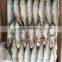 landfrozen mackerel 150-200g