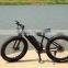High Quality Electric ATV Fat Tire High Power 48V 500W Electric Fat Bike with