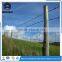 Professional Maker Best Competitive Price Galvanized Barbed Wire