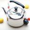 Proffessional Best Stainless Steel Whistling kettles , commercial Electric Hot Water kettle TeaPots