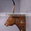 Texas Long Horn
