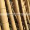 raw moso bamboo poles /canes/sticks