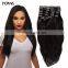 100% Human Unprocessed Virgin Hair Straight Clip In Human Hair Extension For Wholesale