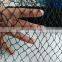 Cheap best sell bird aviary mesh net for flowers