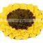 Sunflower Shaped Pet Bowl Anti-choking Dogs Feeder Intelligent Slow Eating Cats Bowl