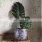 Western art style antique design garden indoor decor ceramic purple flower pots for balcony