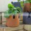 Trendy Decor Garden Artificial Stand Manufacturer Wholesale Flower Pots Planters