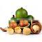 Top quality healthy macca nuts in Vietnam