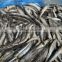 High  quality frozen whole round anchovy fish for processing