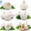 Pure White Fresh Garlic Chinese Garlic