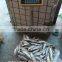 Frozen sardine fish whole round in good quality