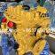 Caterpillar C7.1 engine 205KW 2200rpm AR636-7524