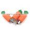 Food Carrot Shape USB Stick 2.0 4GB USB Pendrive