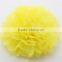 Wholesale Party Decoration Supplies 10"(25cm) Paper Flowers Tissue Paper Pom Poms