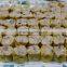 TY-600 Semi Automatic Pork Shu Mai Making Machine