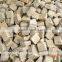 Sandstone Cobble