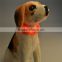 waterproof rechargeable usb pet dog collar usb pet dog collar lighting