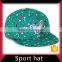 Sport customize plain snapback hats wholesale