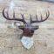 China Factory Wholesale wall mounted resin artificial deer head Christmas wall decoration                        
                                                Quality Choice