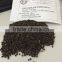 VIETNAM BLACK PEPPER FOR EXPORTING TO EGYPT MARKET