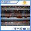 Factory 4 tier 120 capacity chicken layer cage for poultry in dubai