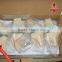 Set of 4 knee joint models
