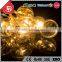 TZFEITIAN Over 10 Years Manufacture Experience Holiday Name Short Christmas String Light