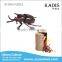  express 3d jigsaw puzzle