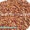 2012 , 2013 Light Speckled Kidney Bean with Cheapest price ,LSKB, Long shape