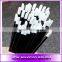 Disposable Lip Gloss Wands Plastic handle Lipgloss Applicator Lip wand wholesale with cheap price
