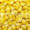 Non Cut Frozen Yellow Maize