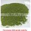 Free Sample Instant Matcha Green Tea Powder USDA Certified