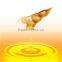 Mini soybean oil machine for small plant made in China