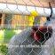 Wholesale Hexagonal poultry wire netting for sale