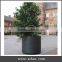 Arlau park iron wrought iron planters